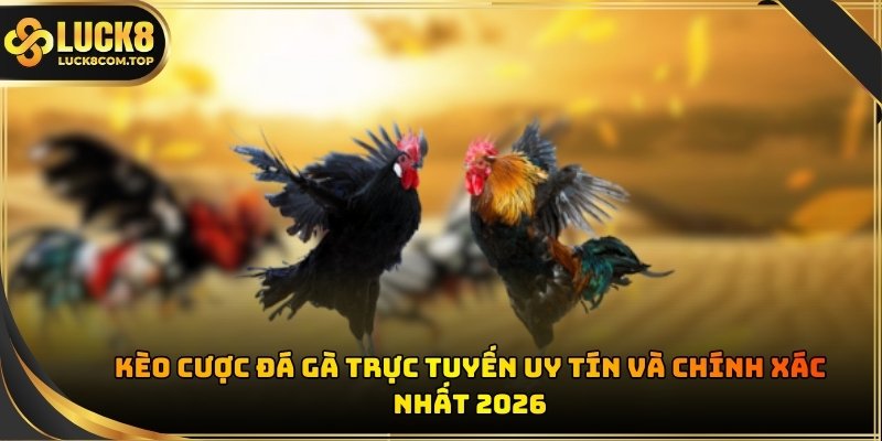 Kèo cược đá gà